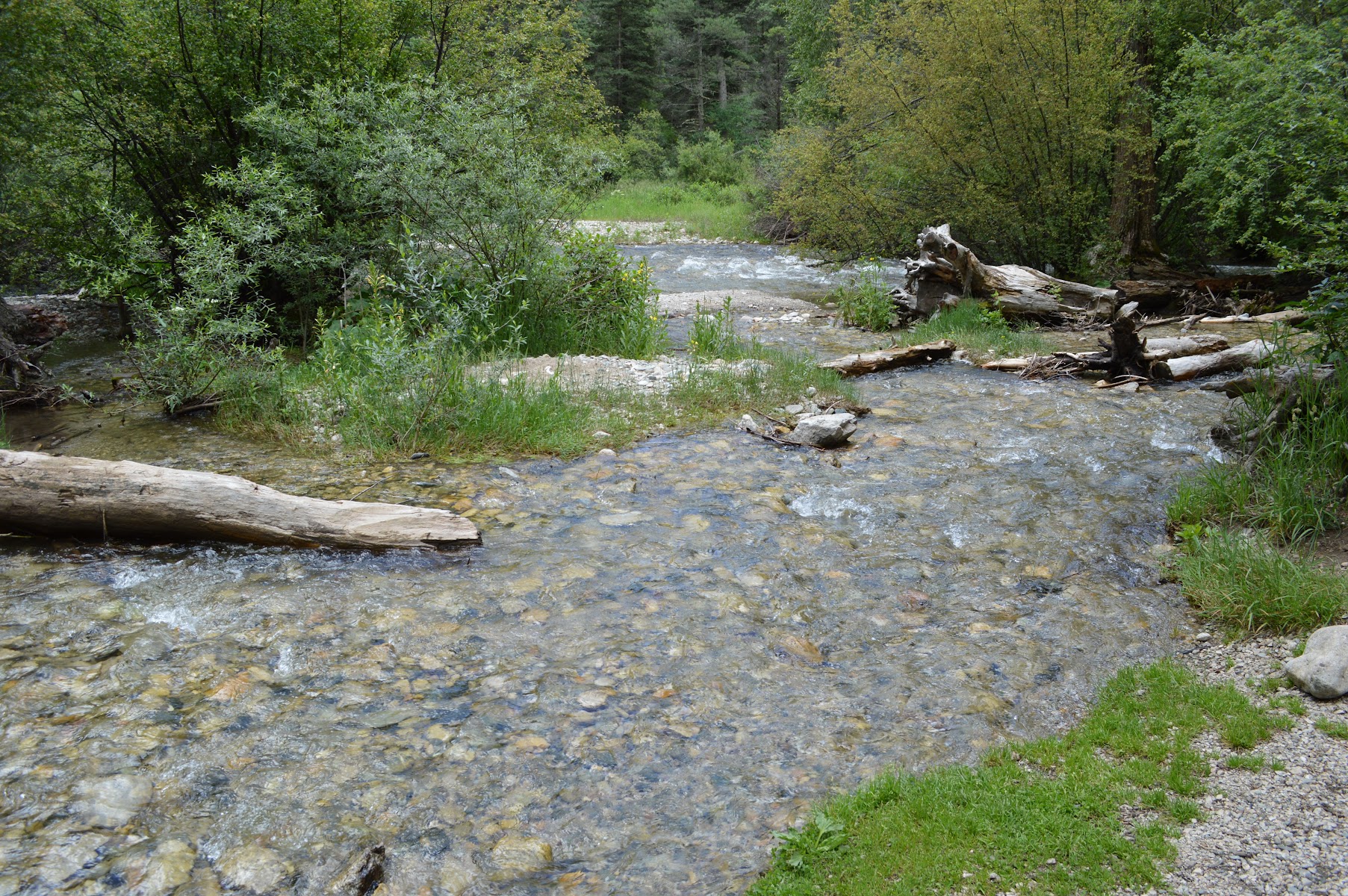 Cuchillo Del Medio Campground