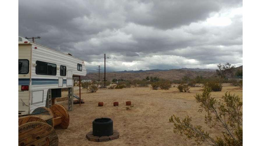 Coyote Sunset in Joshua Tree