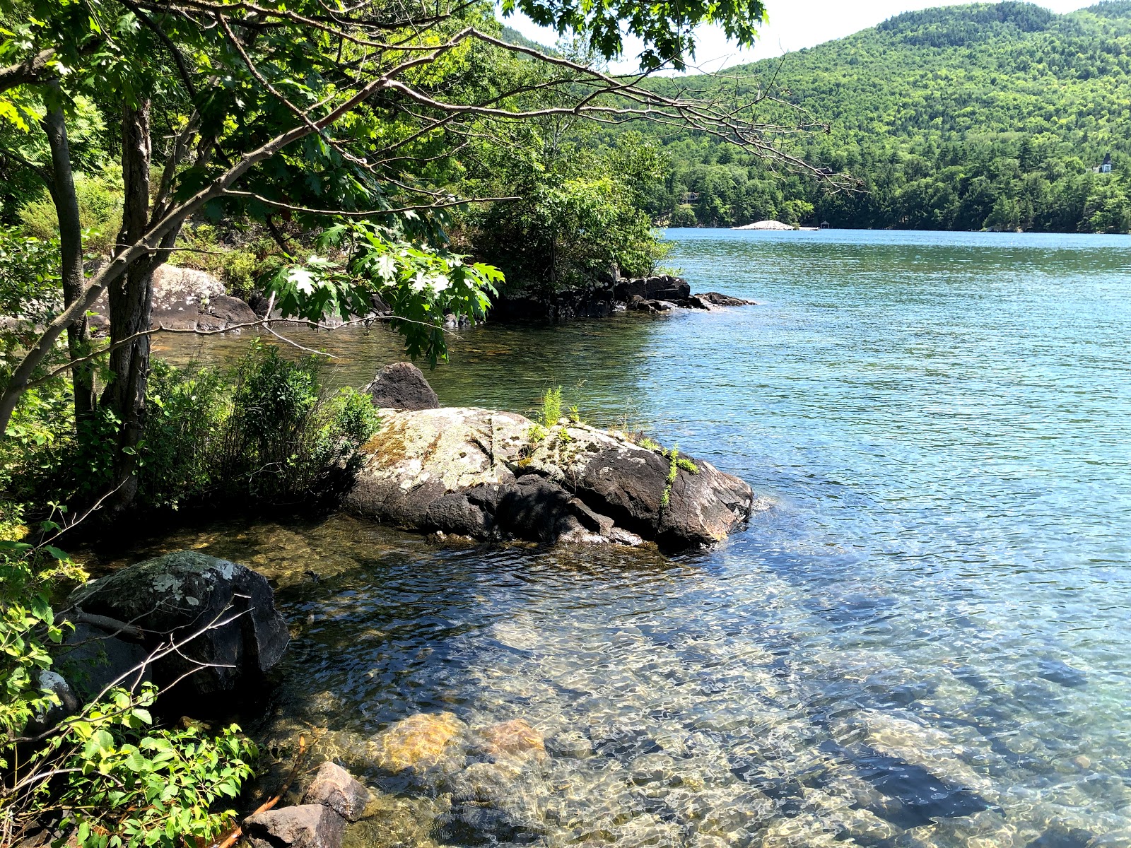 Agnes Island Campgrounds #1