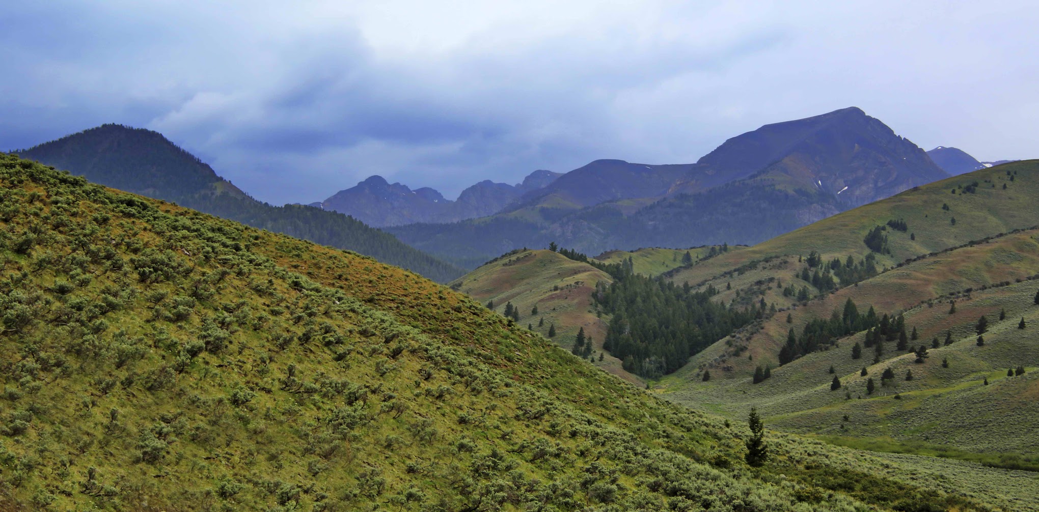 Loristica Group Campground