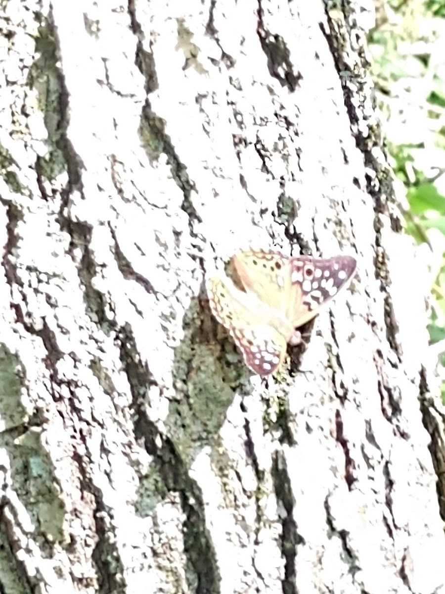 Grindstone Reservoir