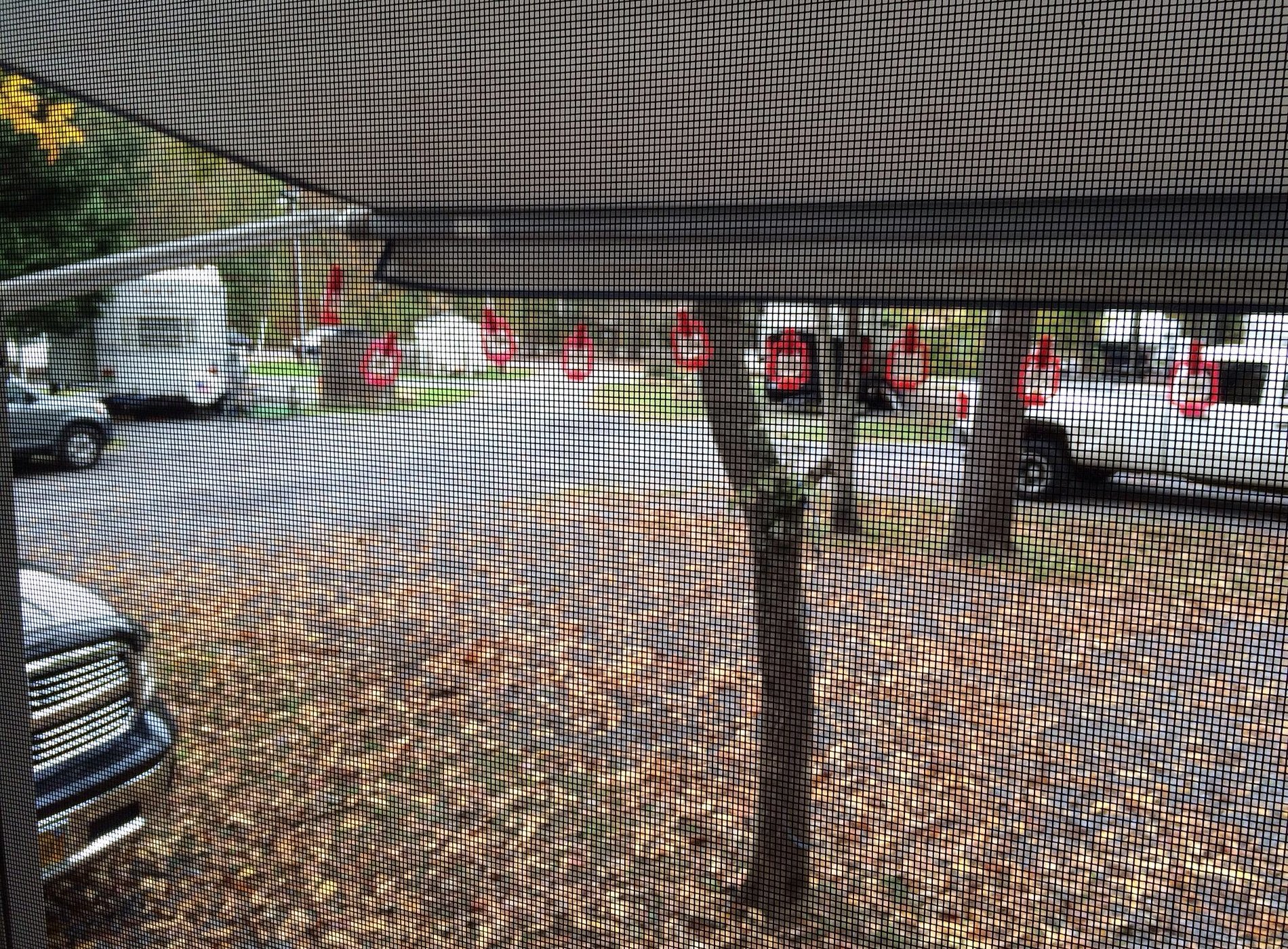 Buckhorne Country Store and Campground