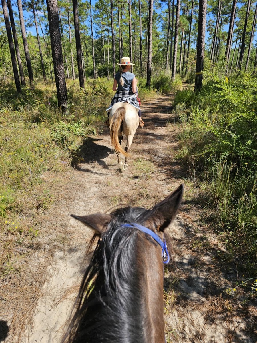 Rocco Ridge Ranch LLC