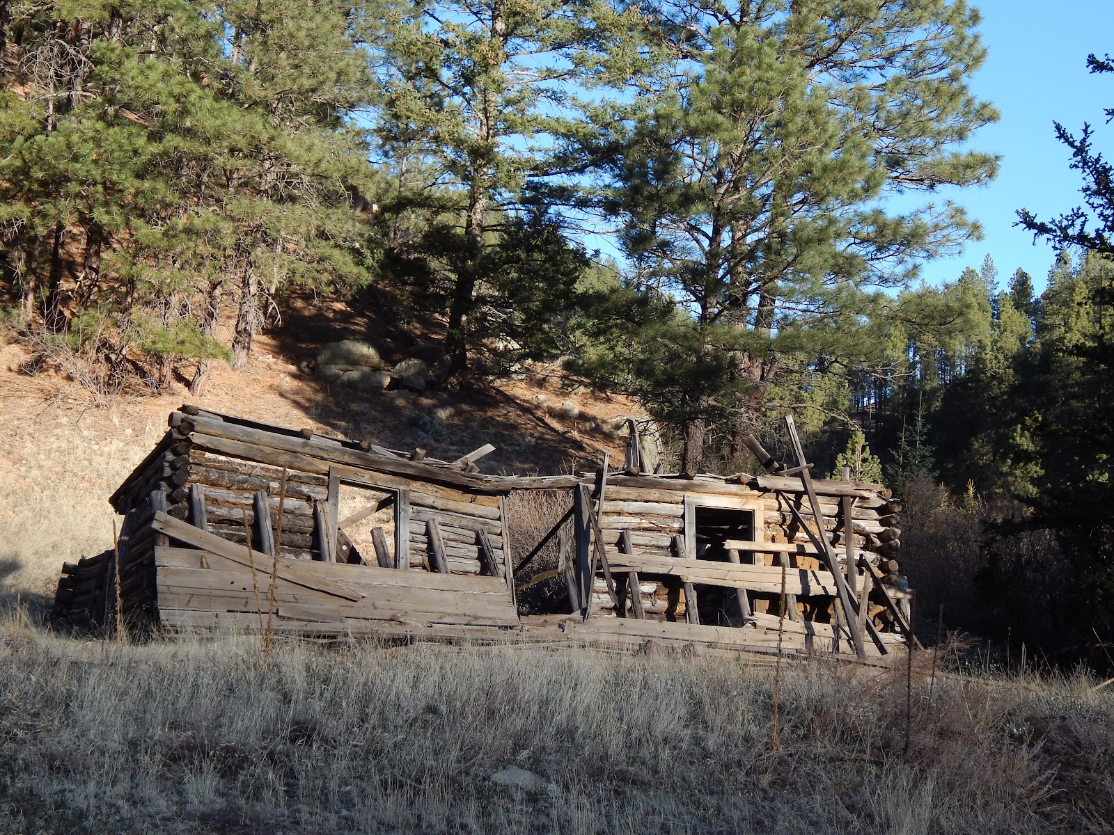 Santa Fe National Forest Field Tract Campground