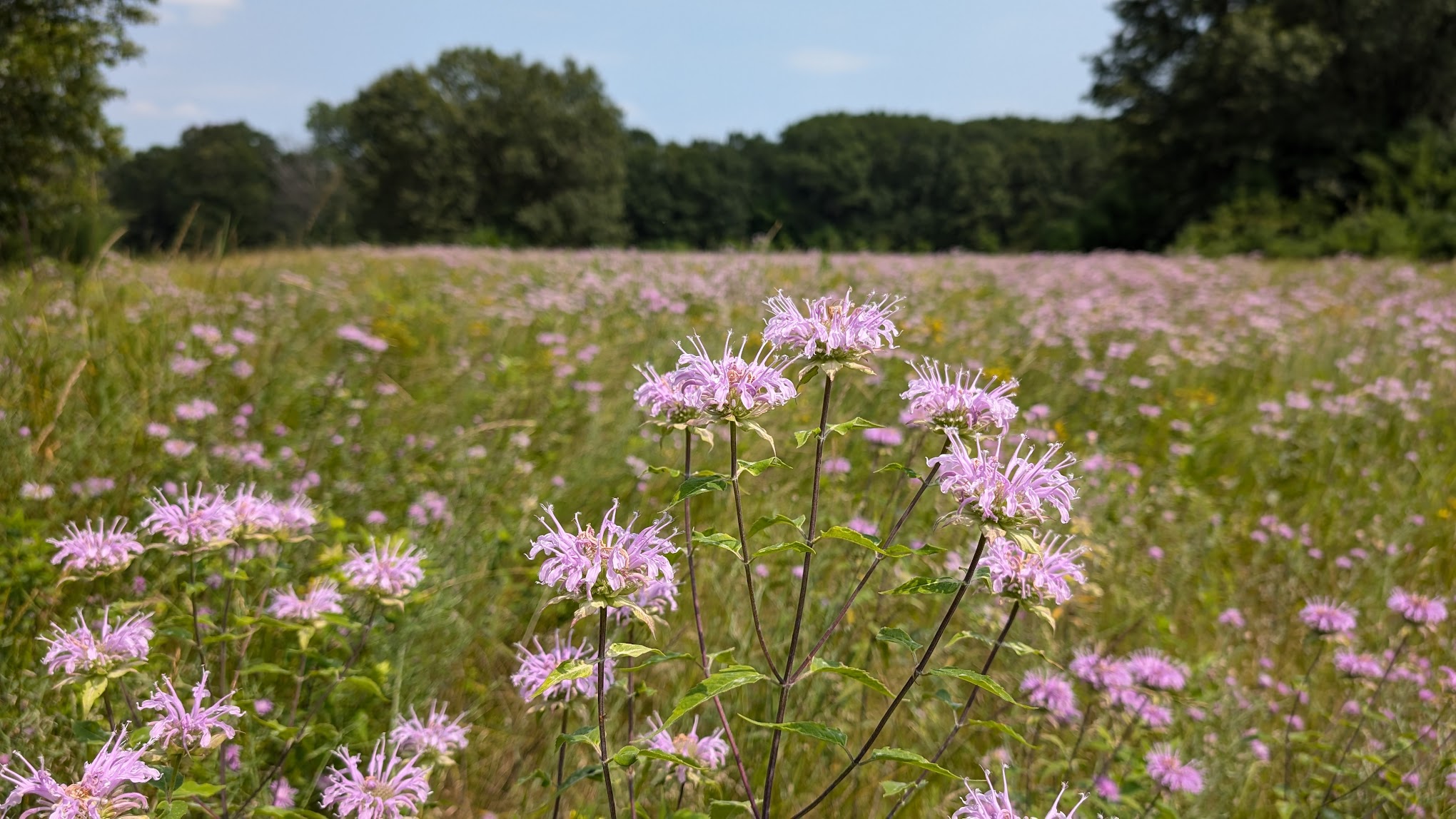 Hartman Creek State Park Family Campground