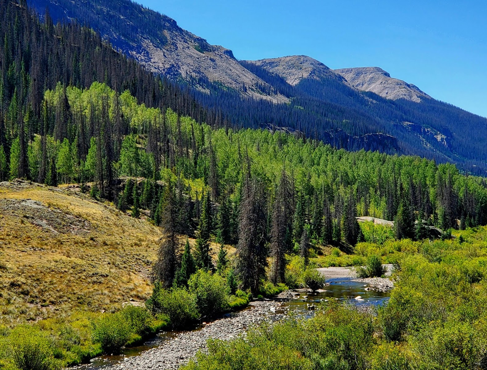Lost Trail Campground