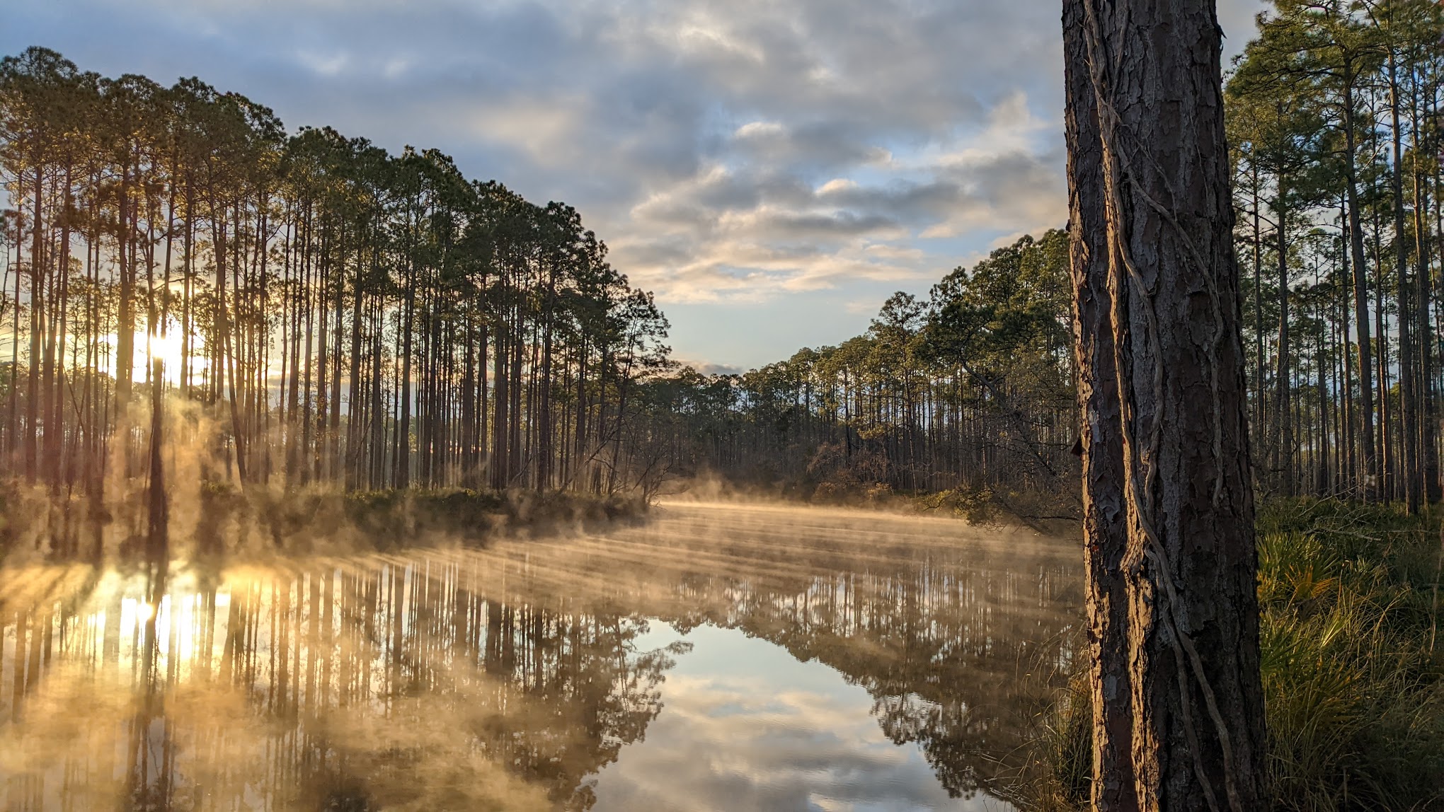 New River Primitive Campsite 8