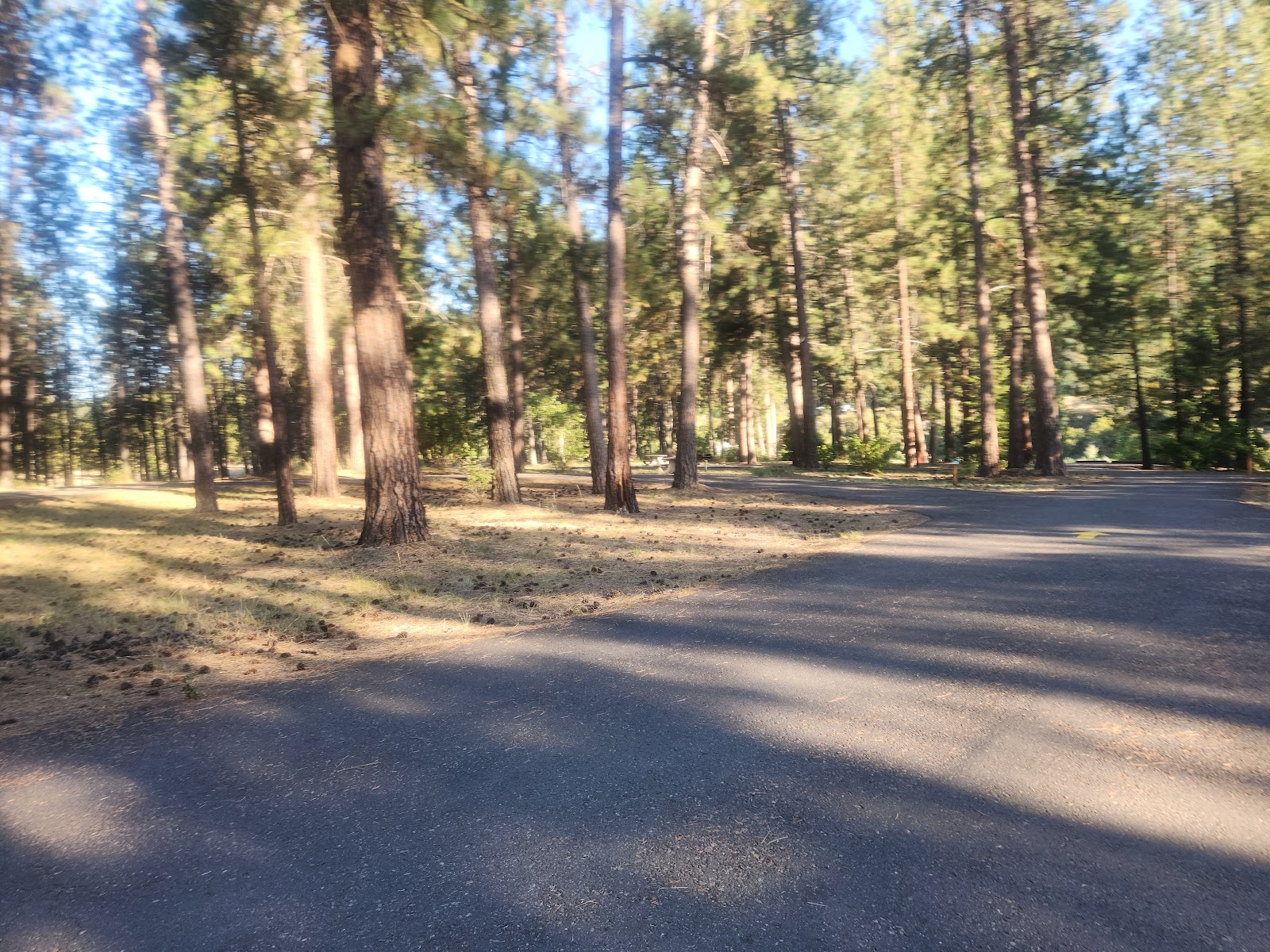 Whitetail Campground