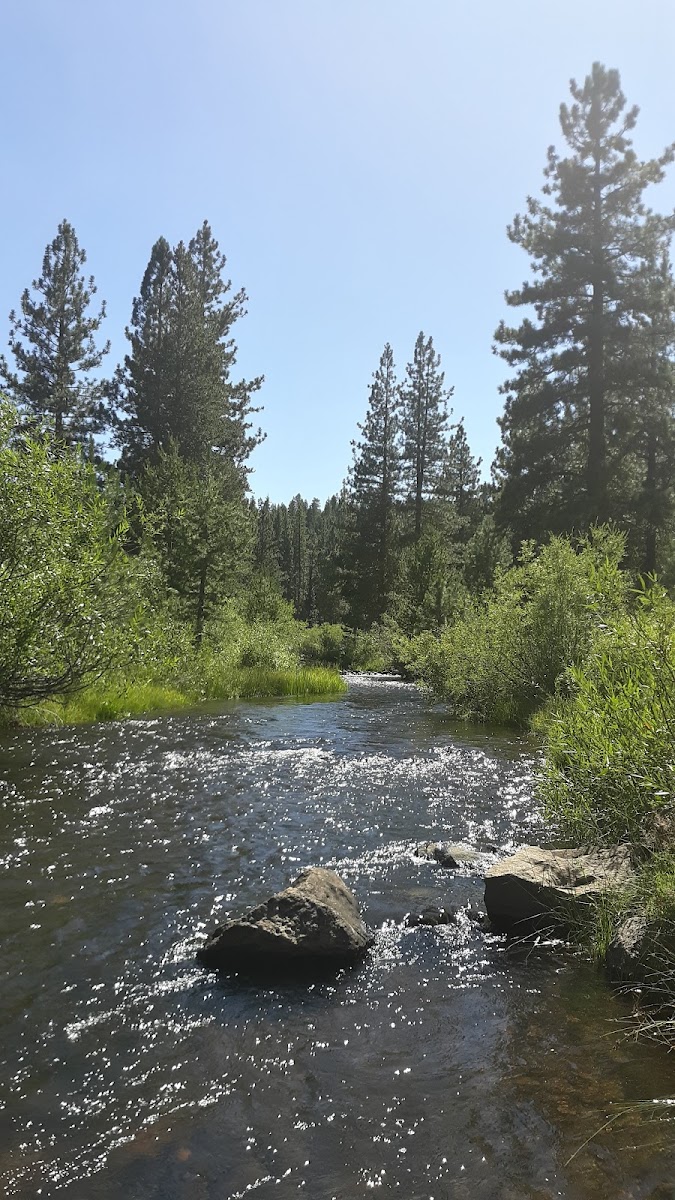 Goumaz Campground/Biz Johnson Trail