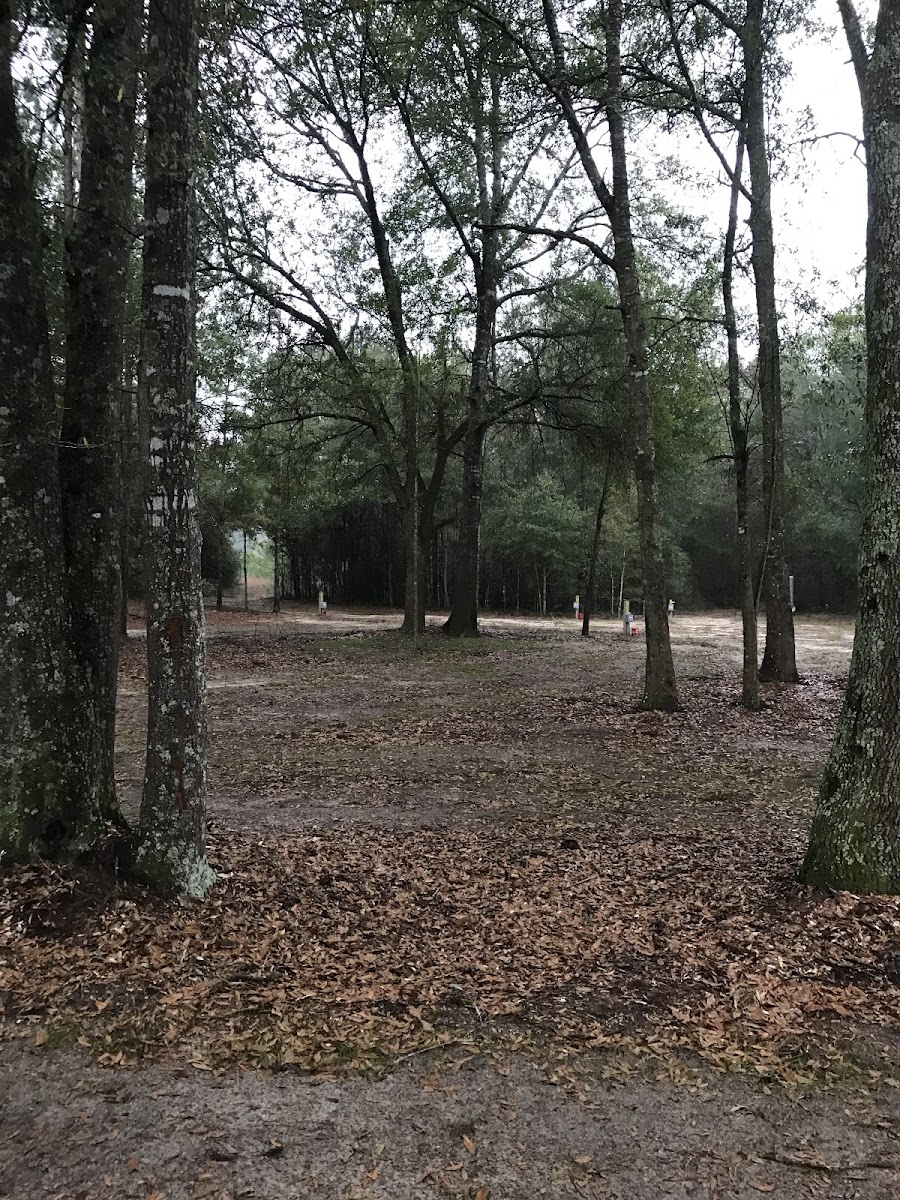 Liveoak Rv Park-Alabama