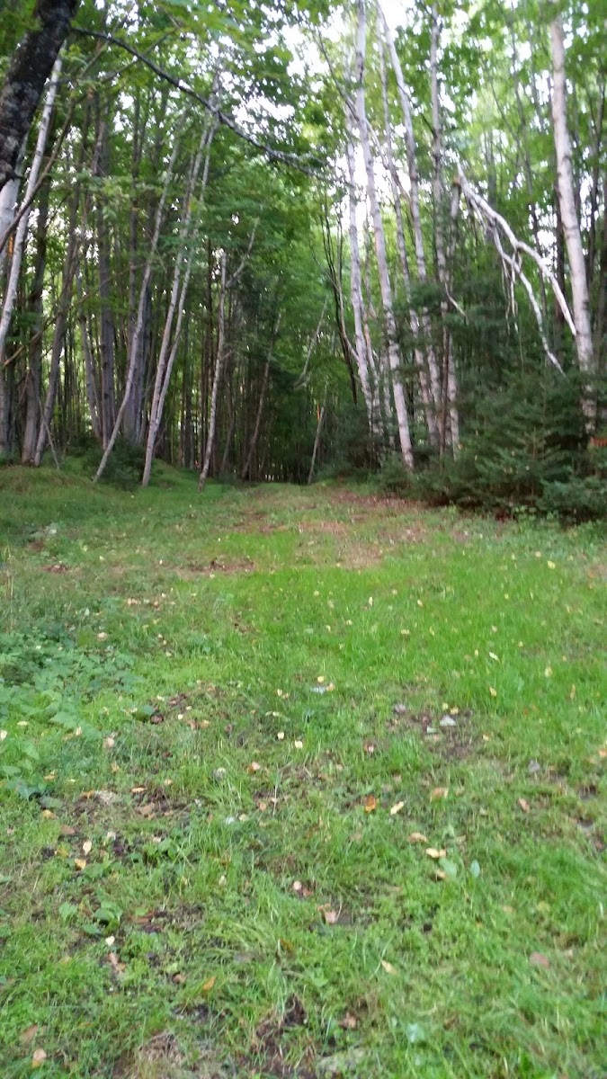 Willow Reservoir Campsite 27