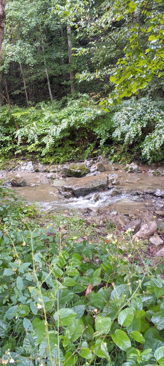 Maier family camp and market LLC.