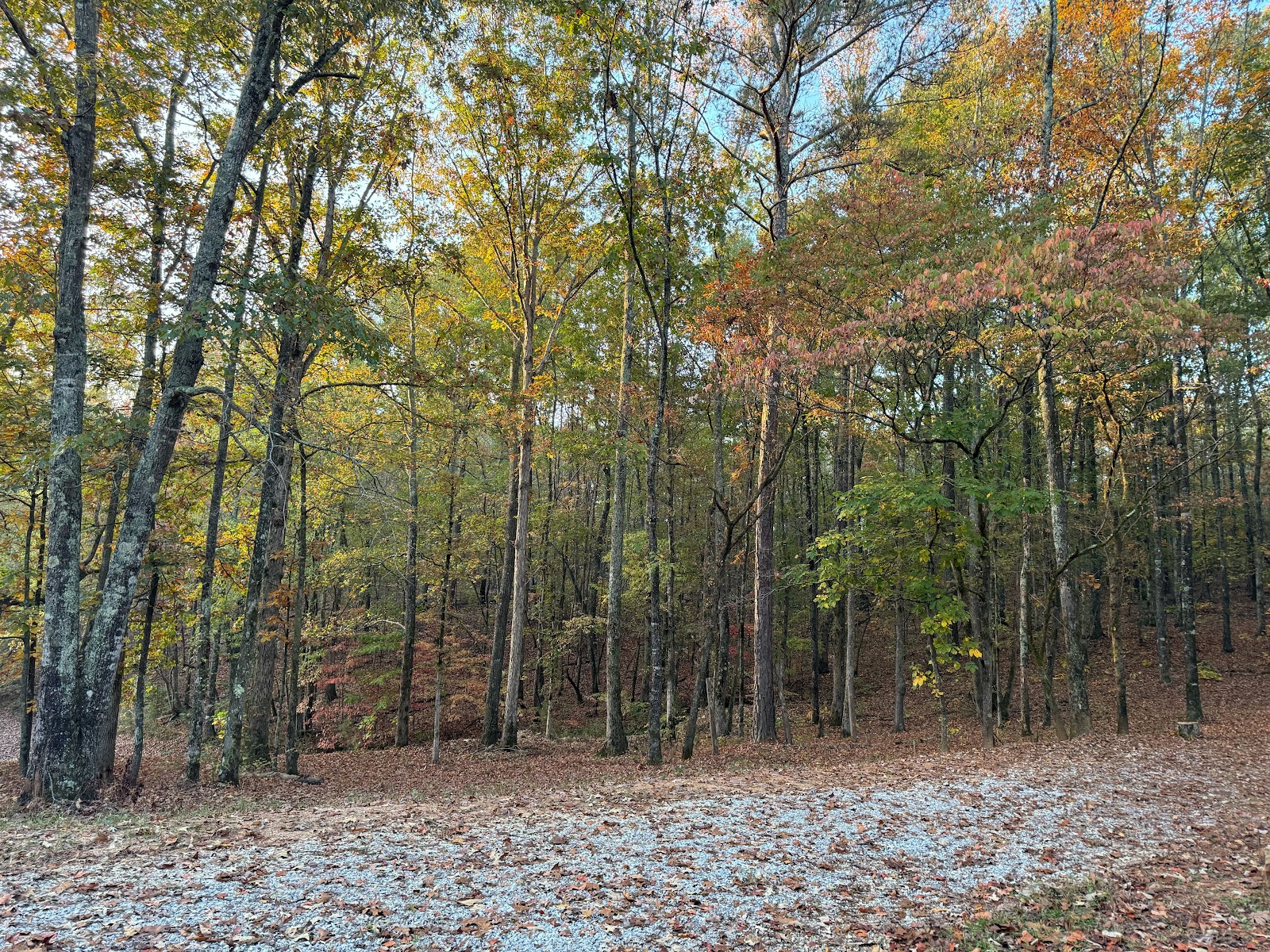 Hidden Branch Campground