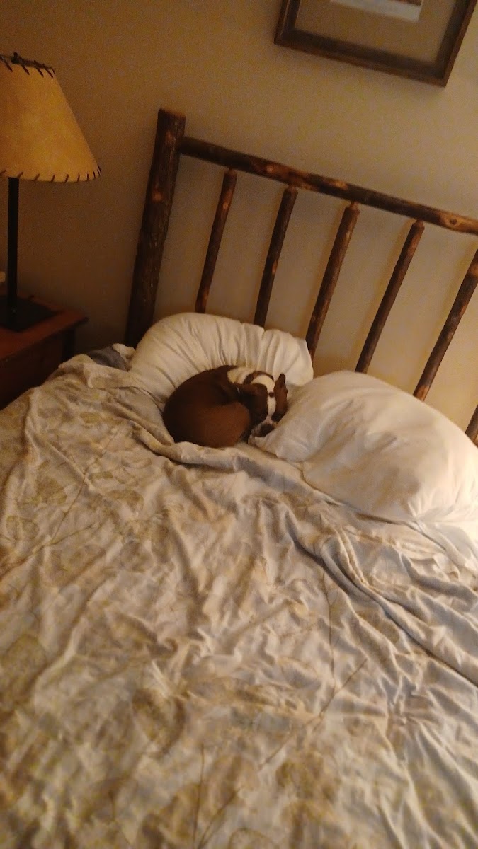 Sequoyah State Park Group Camp