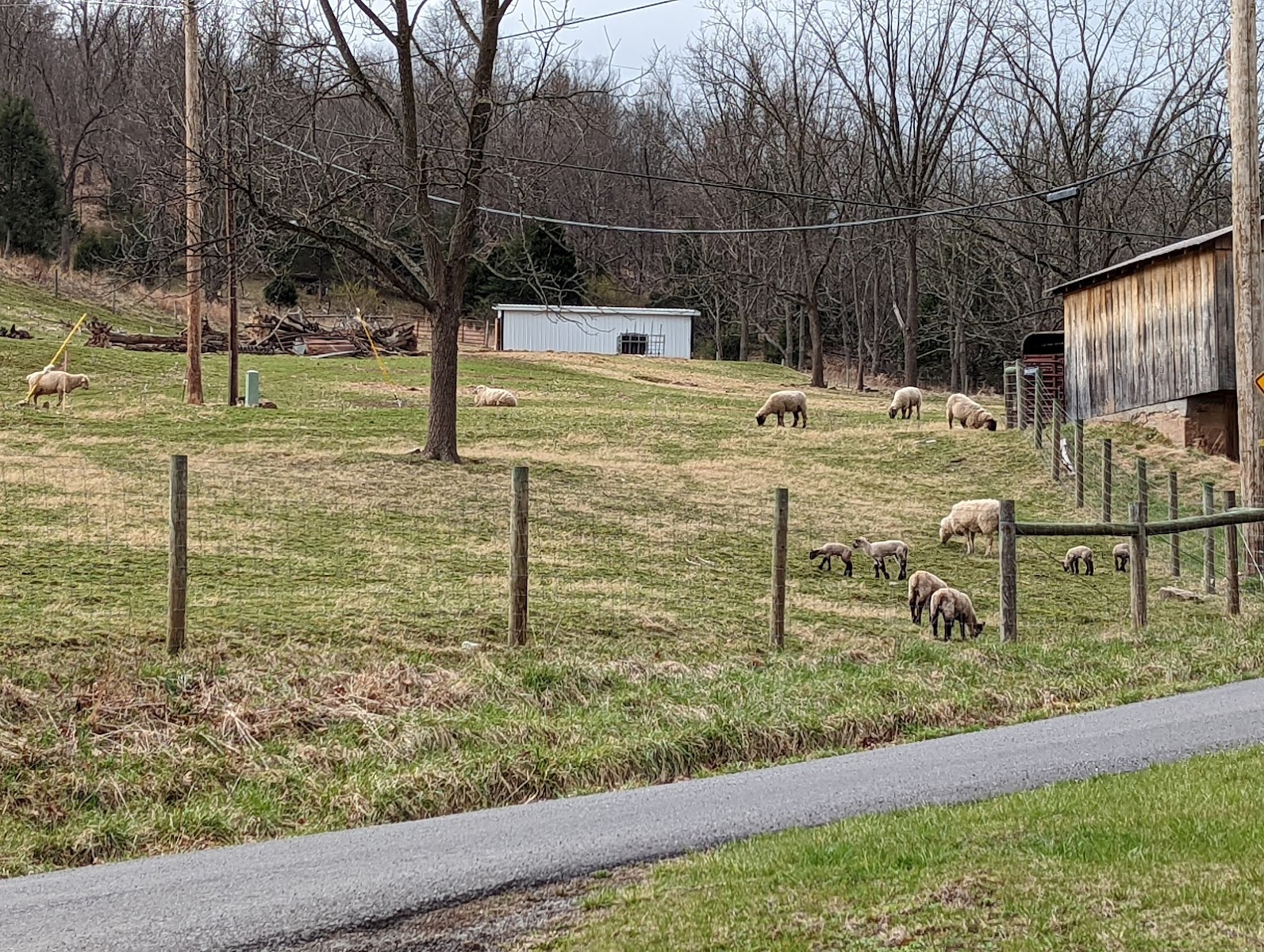 Eagle Rocks Campground