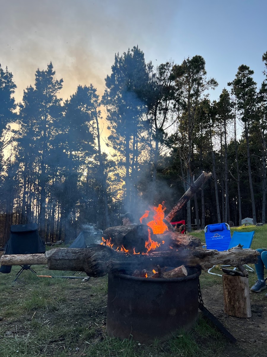 Warren Group Camp Area