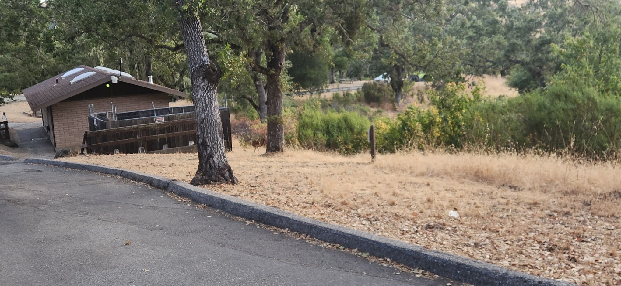 Halls Valley Campground