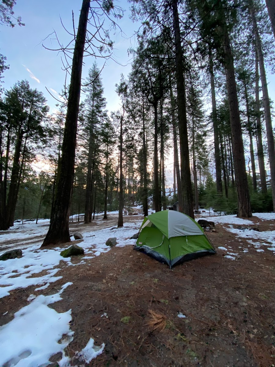 Lone Sequoia Campground