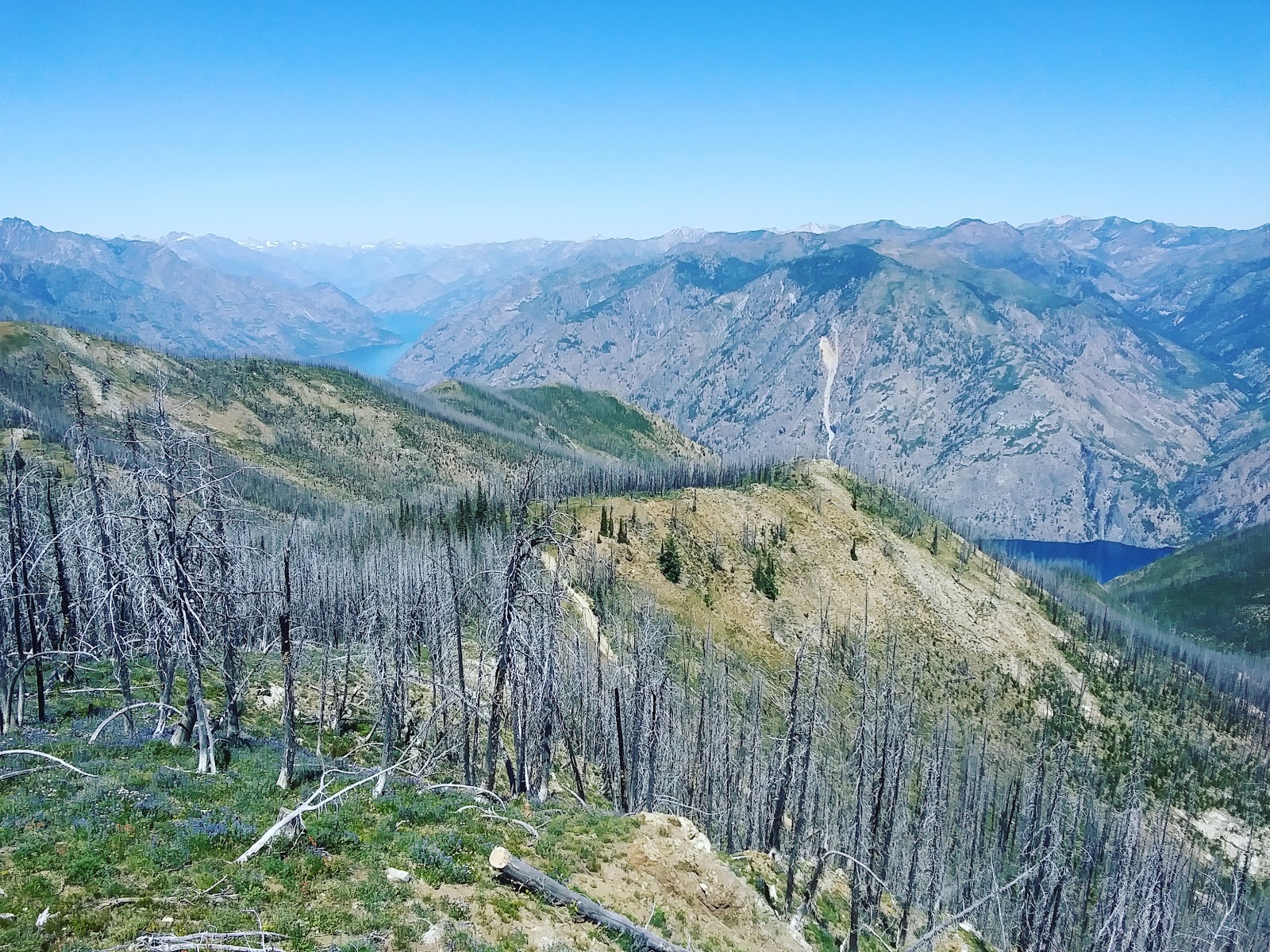 Junior Point Campground