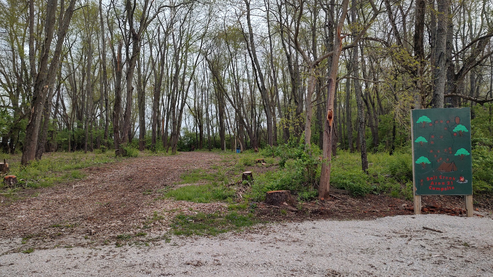 Salt Creek Area 21 Campsite