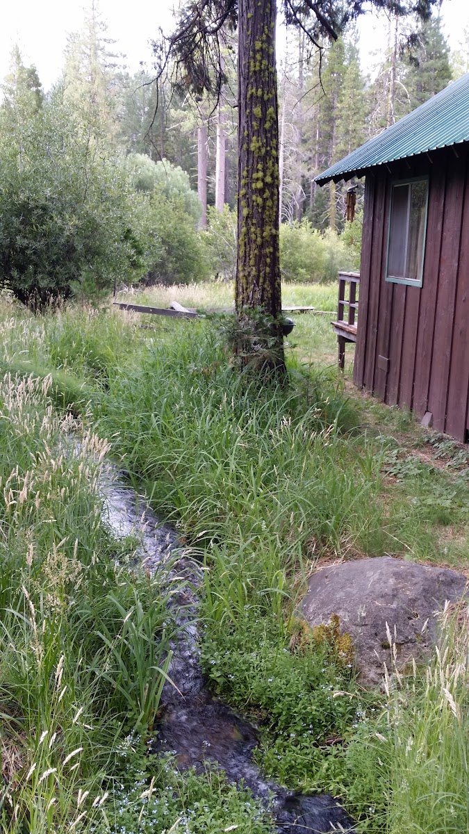 Mill Creek Campground