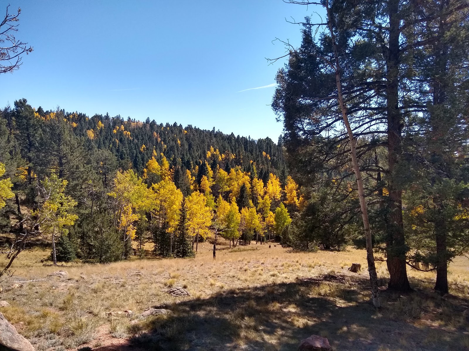 Prospector Ridge Campground