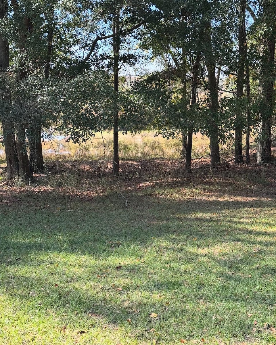 Pondview Acres Campground