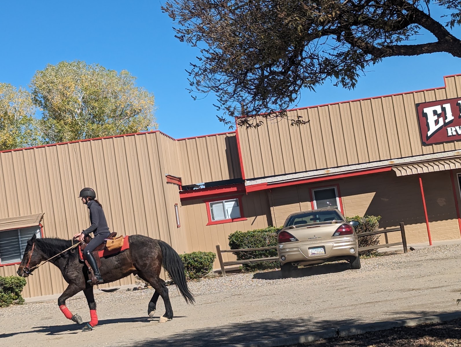 El Rio Rentals & RV Park