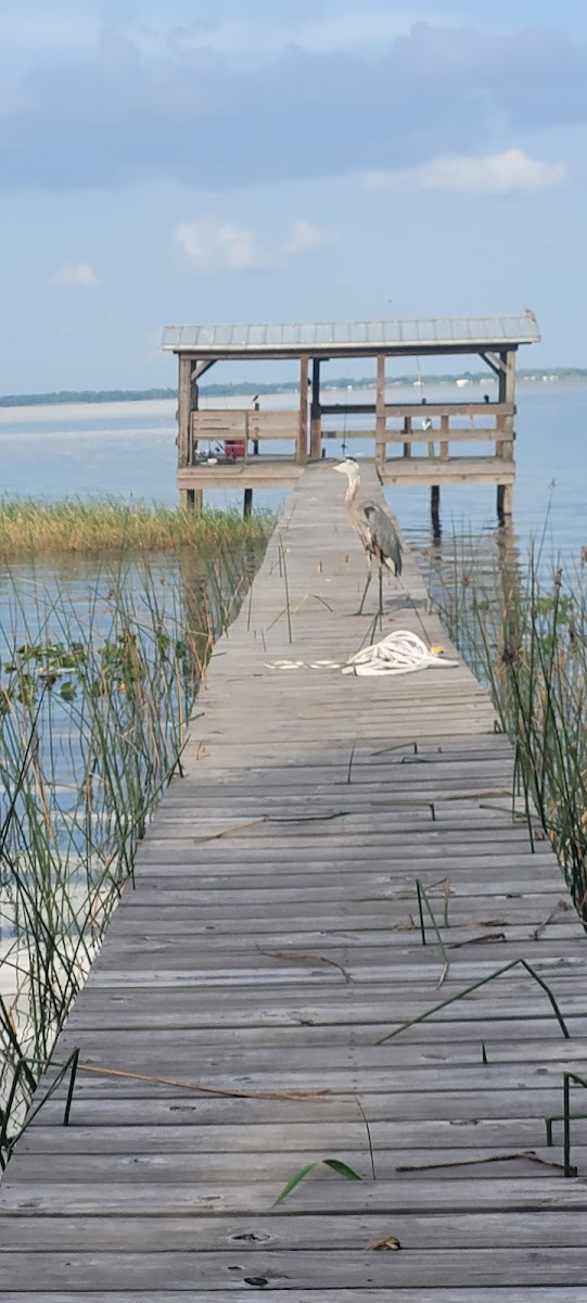 Uncle Joes Fish Camp