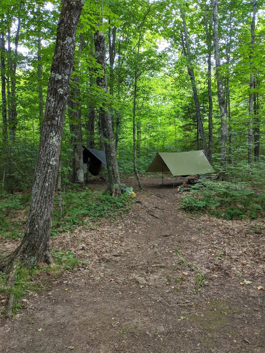 Leskinen Creek Camp