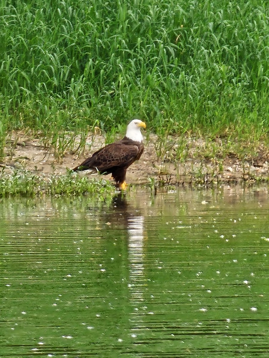 River Bend Campground