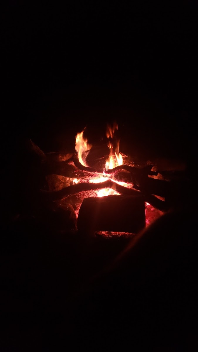 Floating Battery Island Campgrounds #12