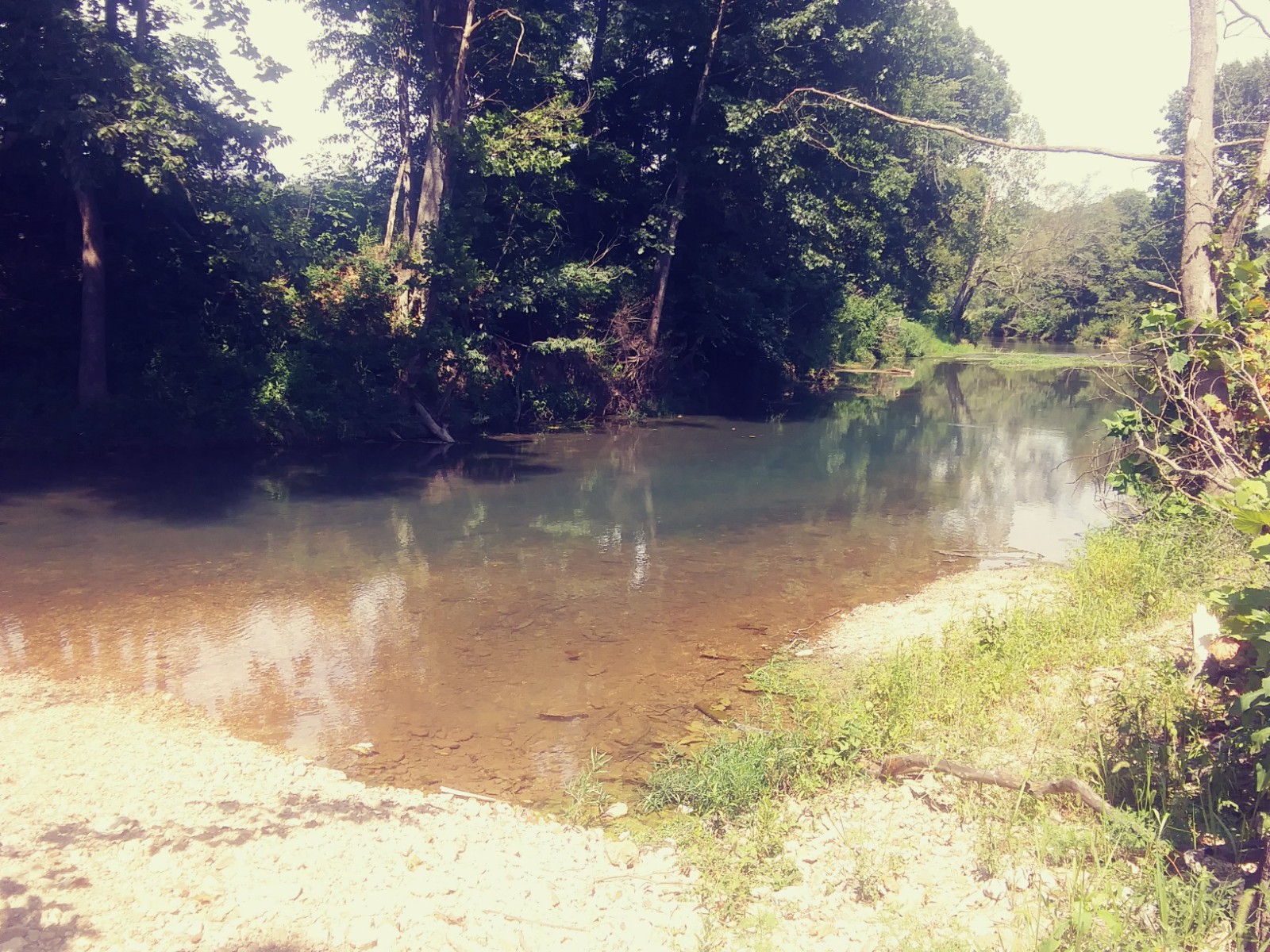 Warm Fork Conservation Area