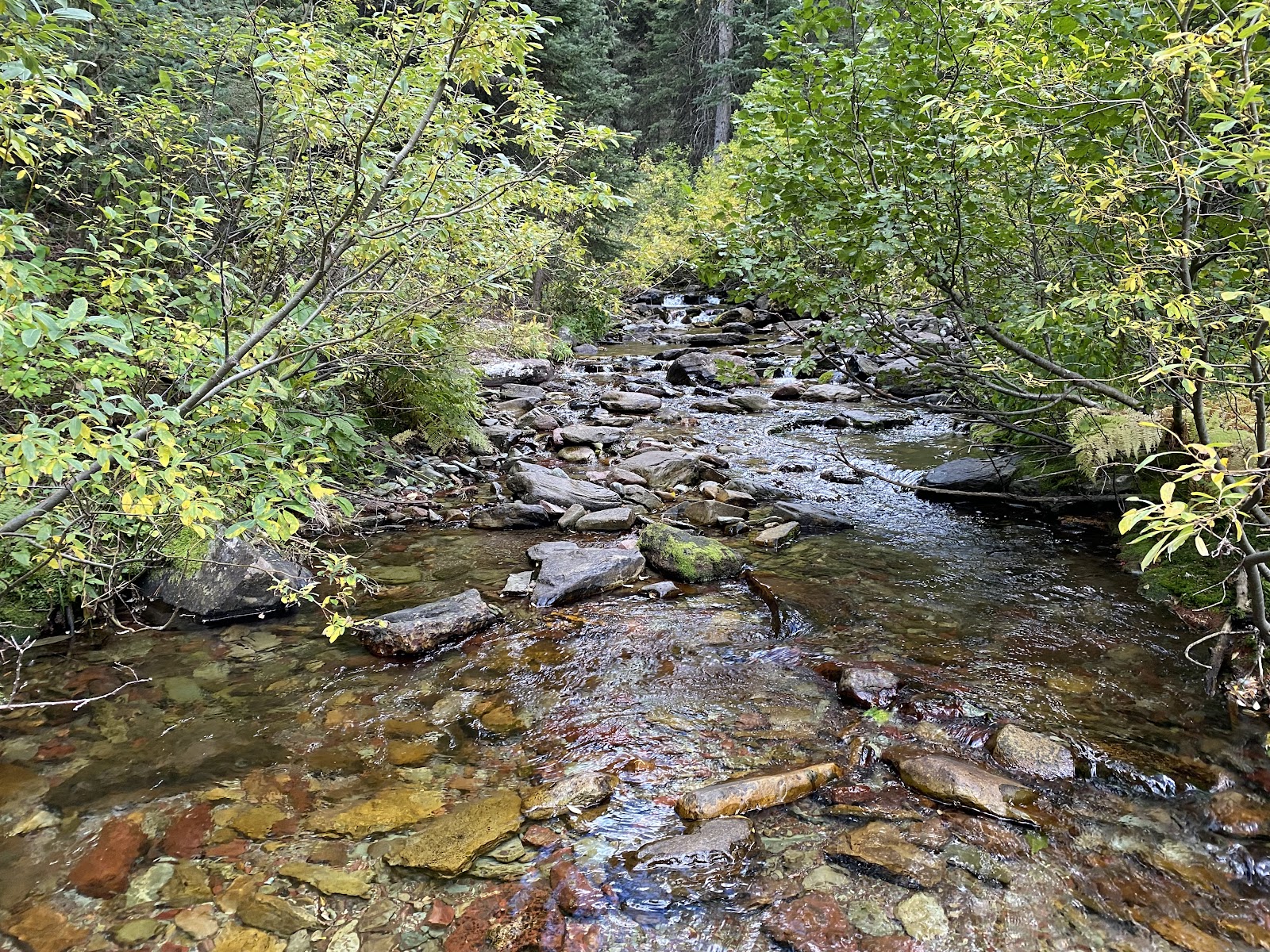 Park Creek Campground