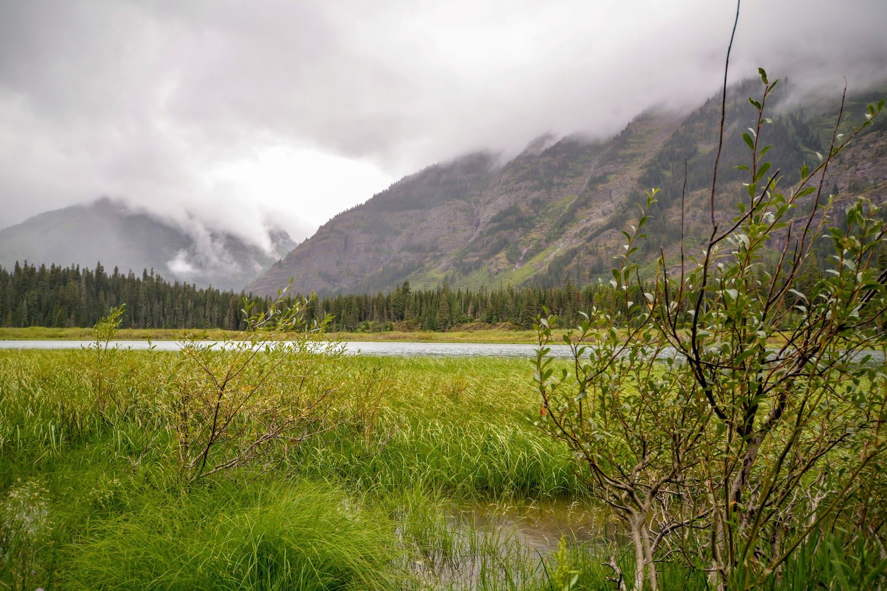 Kootenai Lake Campground
