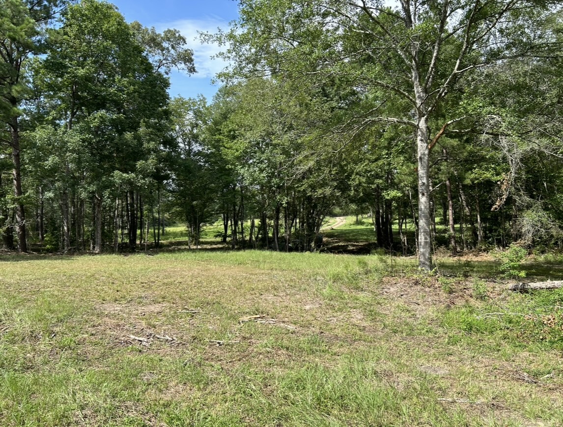 Miller Springs RV Park