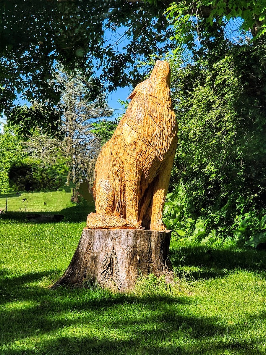 Wolfie's Family Campground and RV Resort