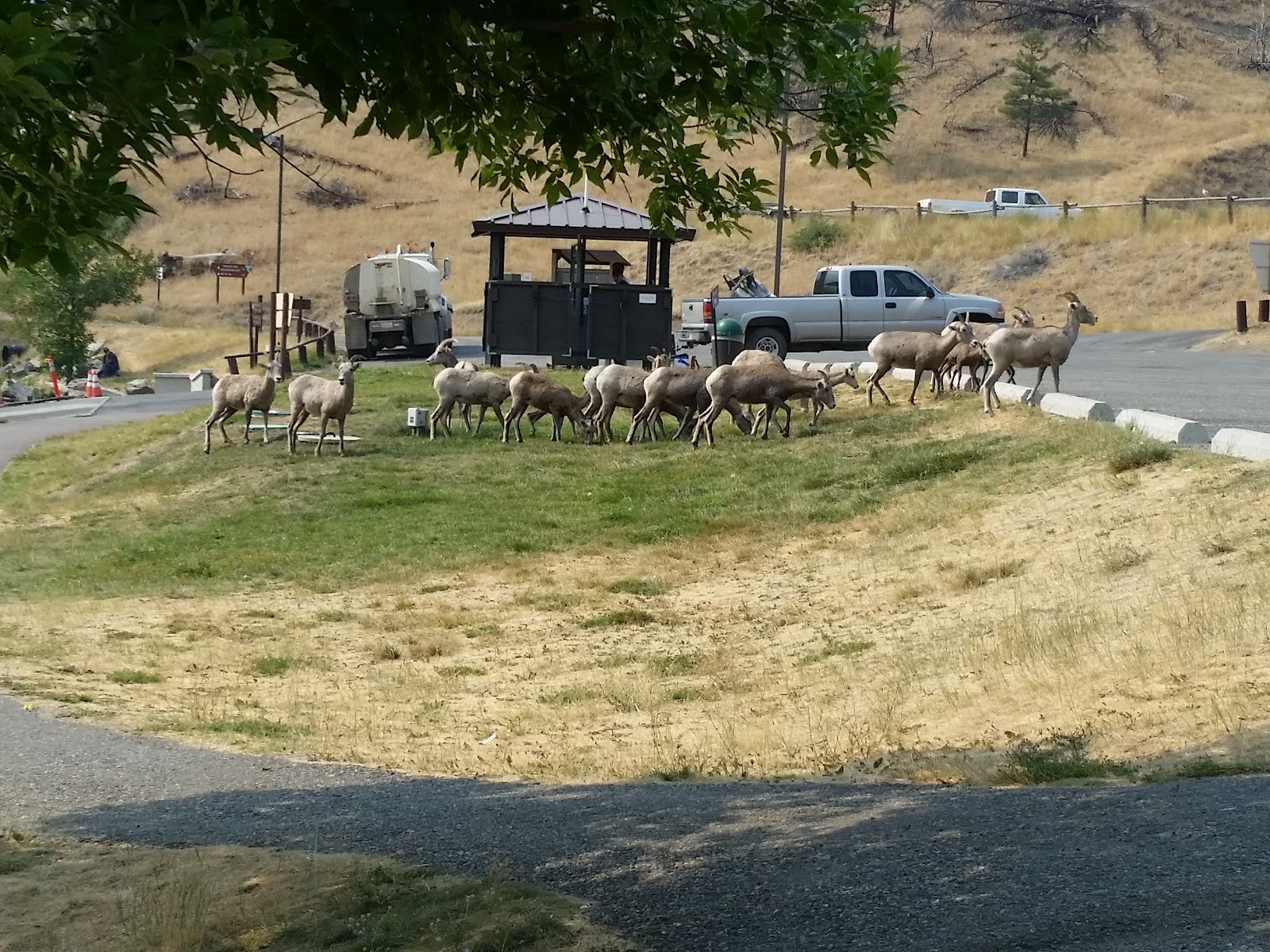 Log Gulch Campground