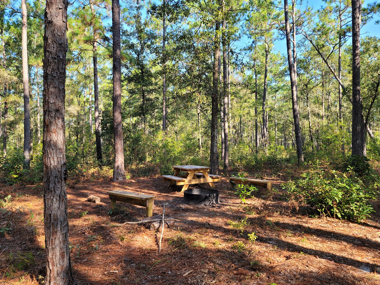 Harleson Dam Campsite