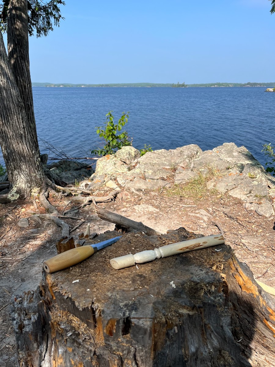 BWCA Campsite #446