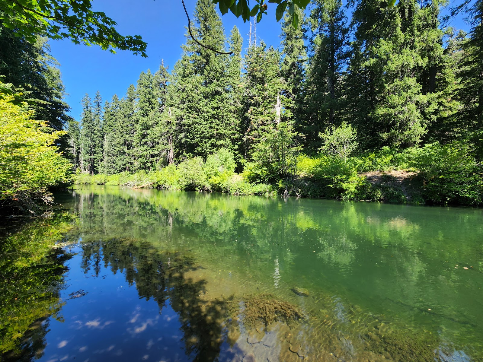 River Bridge Campground
