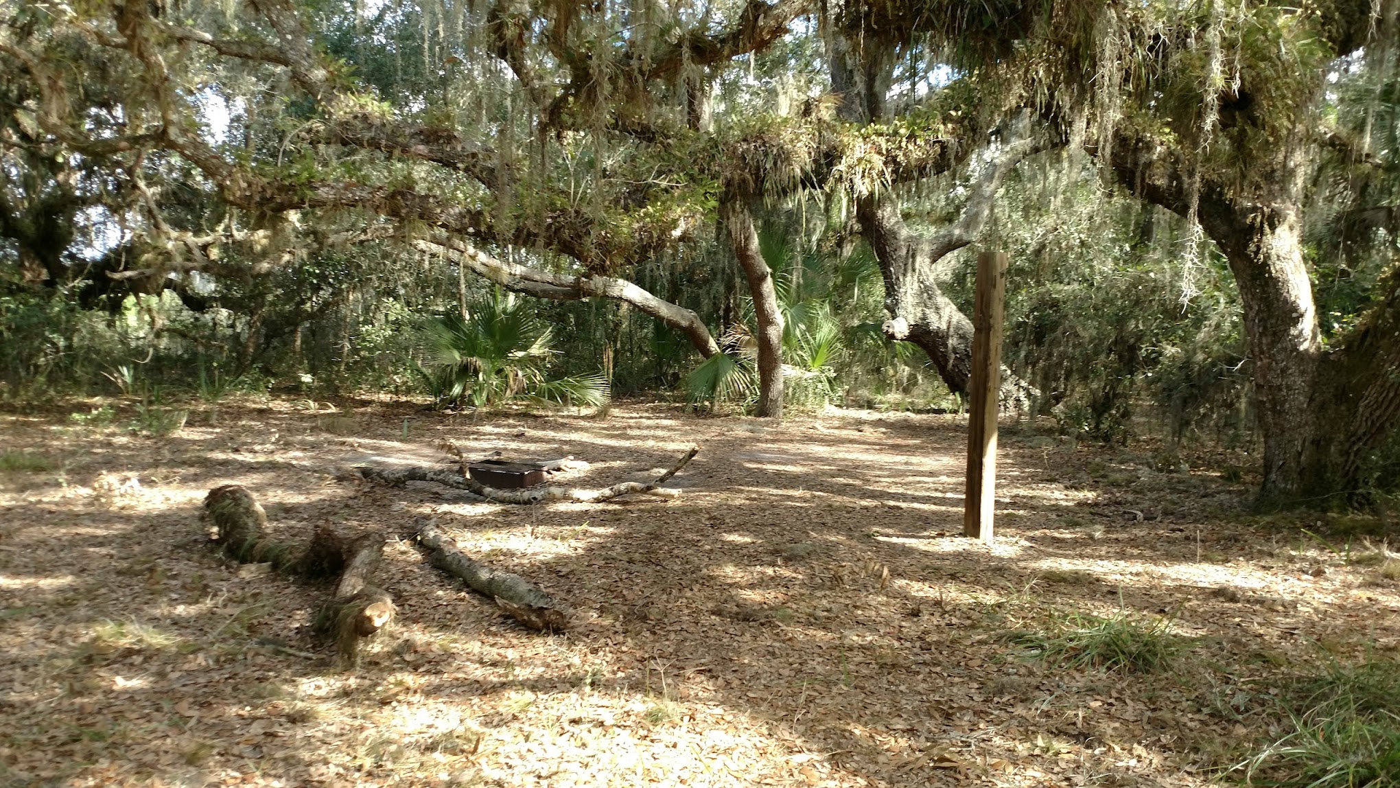 Oak Grove Primitive Campsites