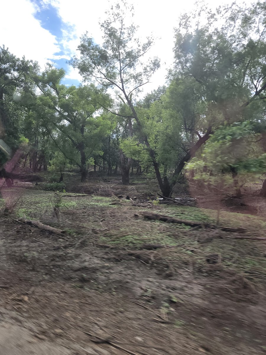 Rock Ridge South Campground