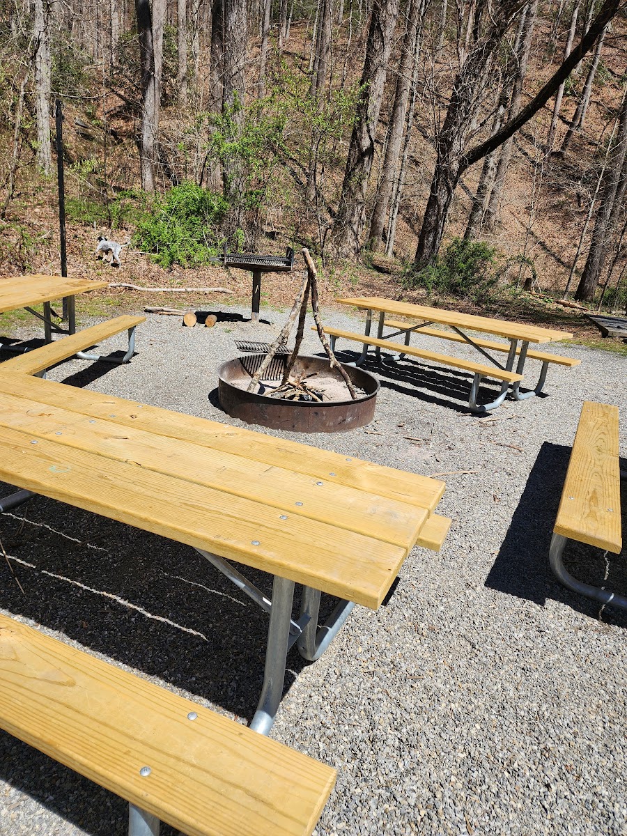 White Pine Group Camp Site