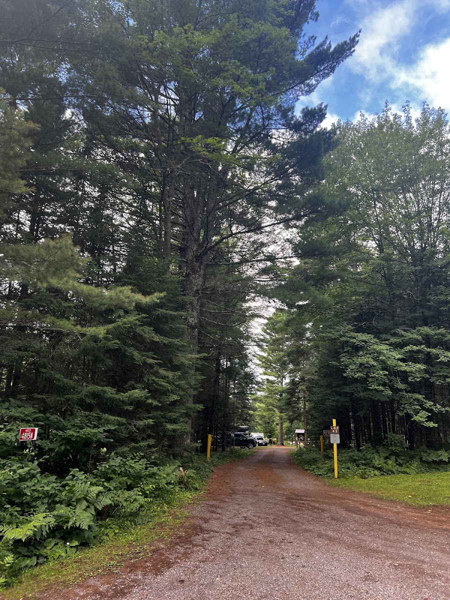 Side 2 Lake of the Falls County Park