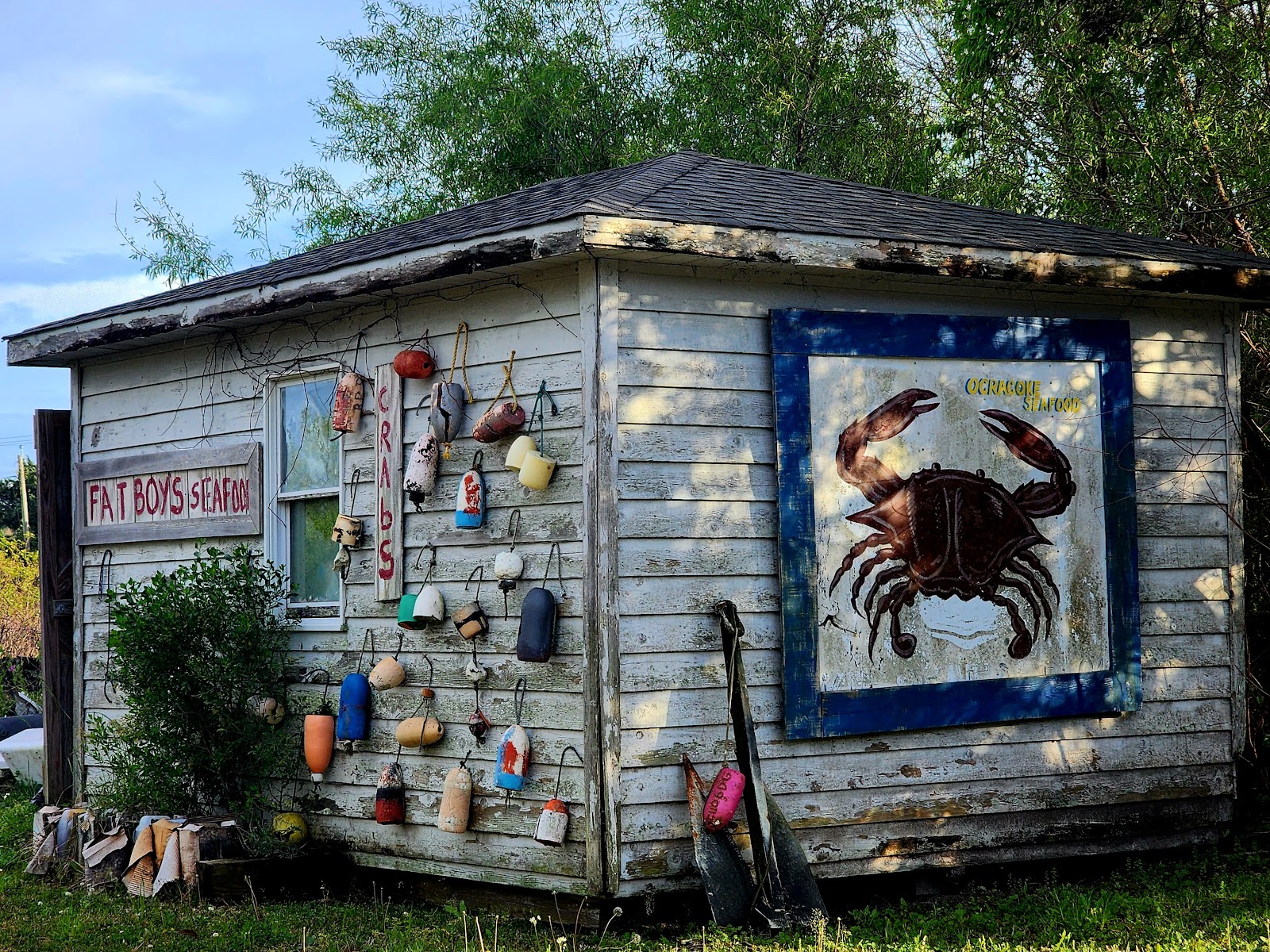 National Park Service Ocracoke Campground