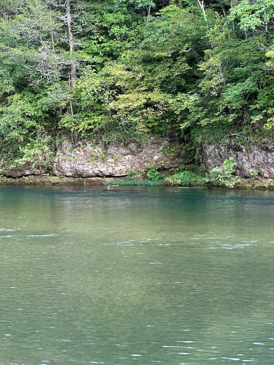 Jerktail Landing Campground