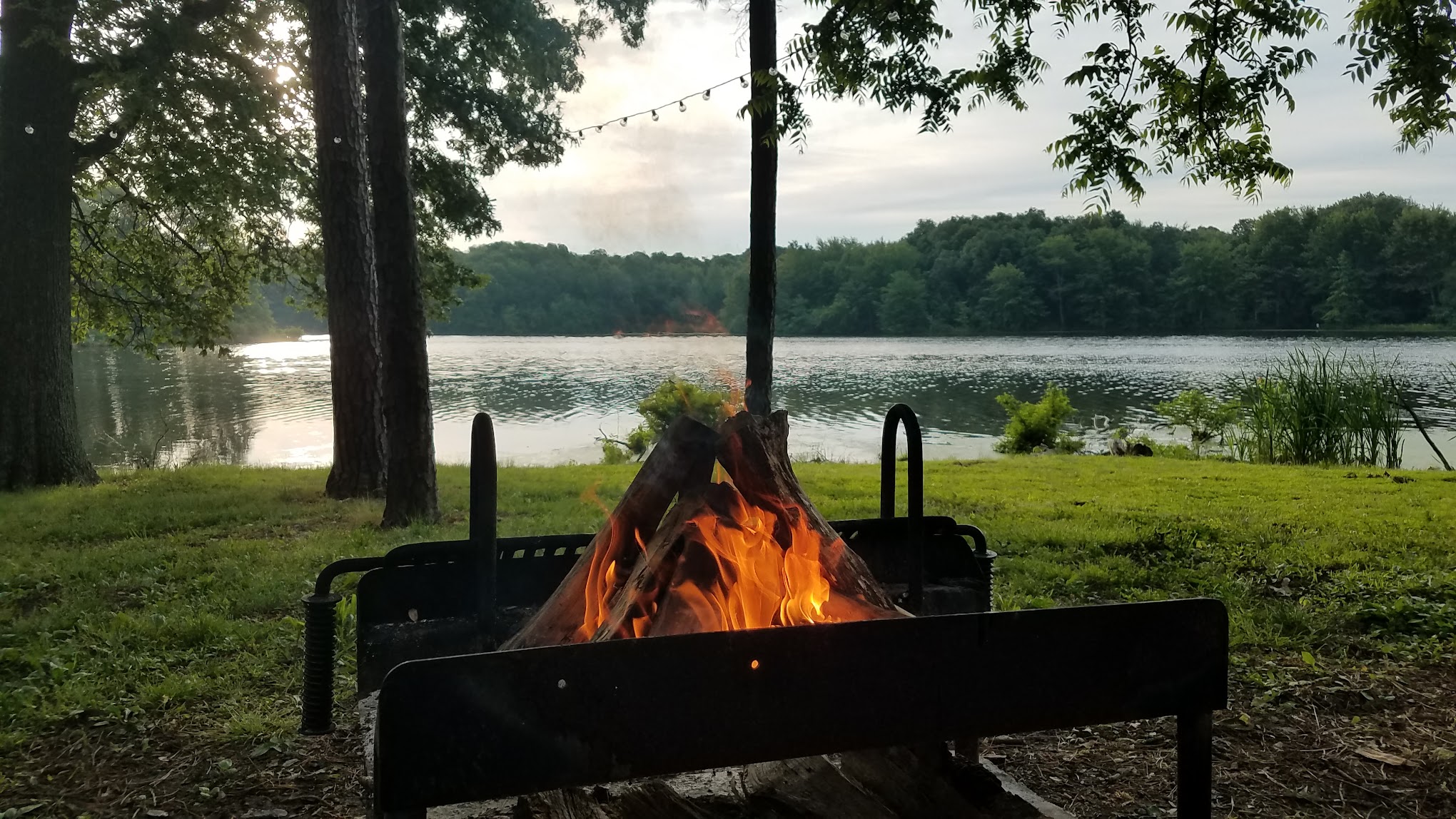 Piney Woods Campground
