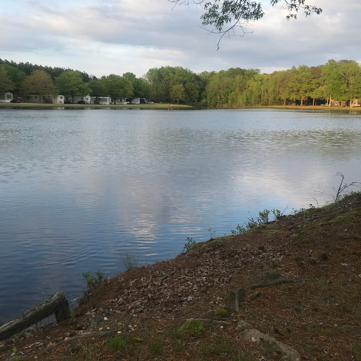 Clements Campsite(do not take overnight stays, only construction crews)