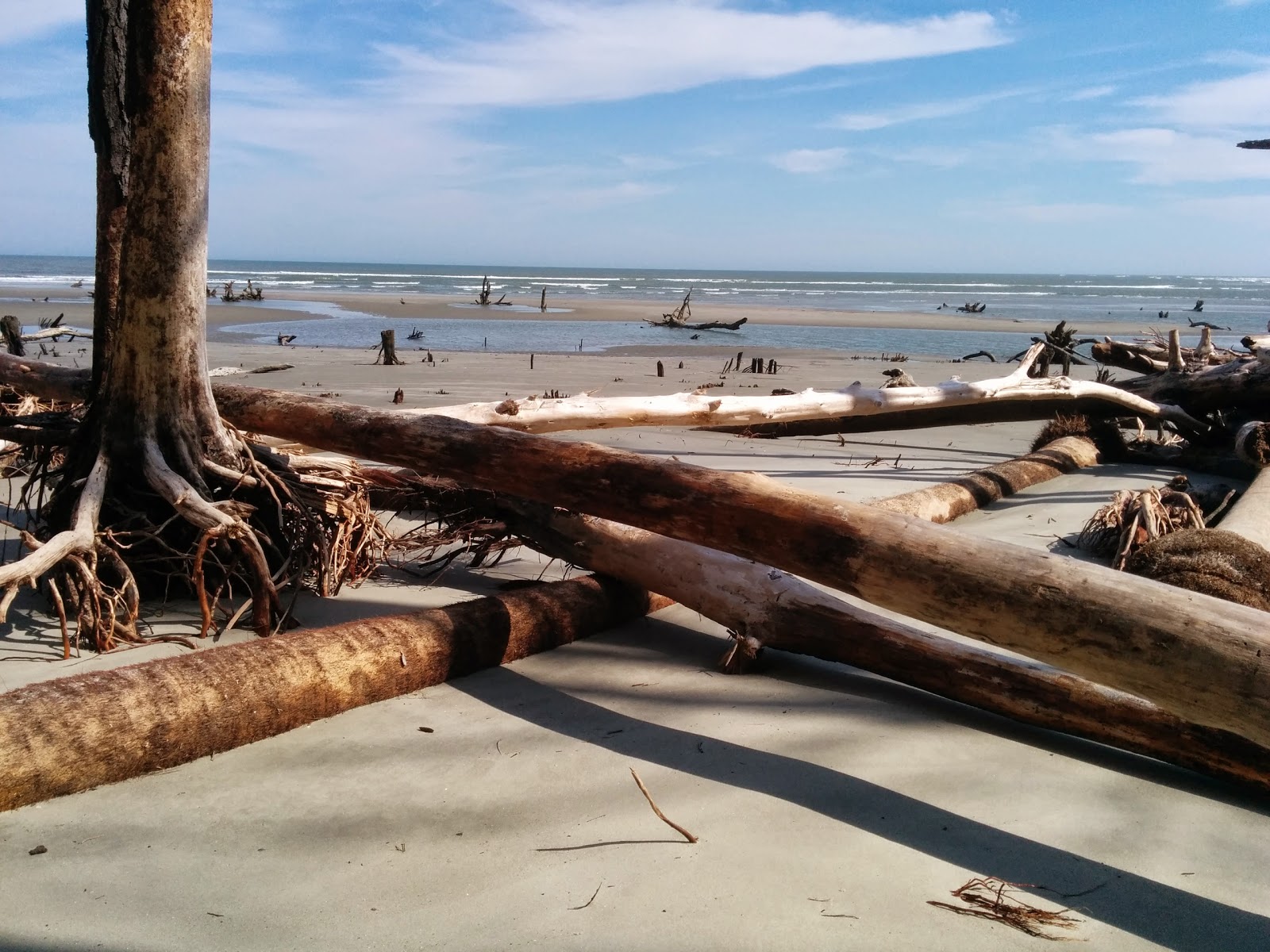 Capers Island Heritage Preserve